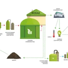 Schemat instalacji biogazowej: odpady organiczne, odchody zwierzęce i rośliny energetyczne przetwarzane są na biogaz, który daje ciepło i energię elektryczną.