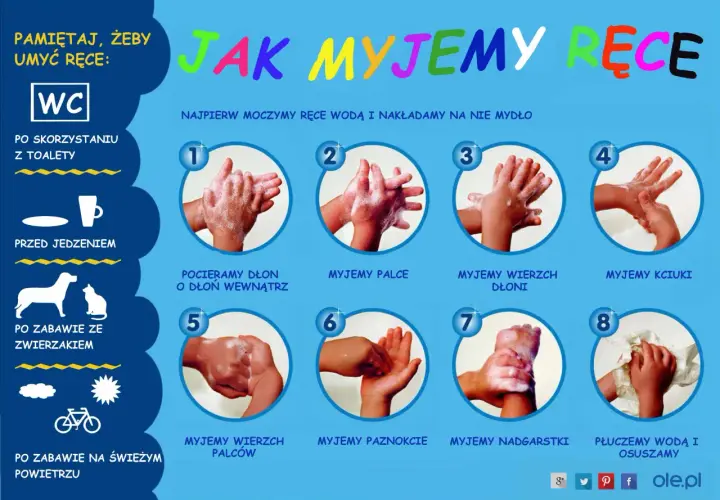 Instrukcja mycia rąk: od zmoczenia po osuszenie. Pamiętaj o myciu rąk po toalecie, przed jedzeniem, po zabawie ze zwierzakami i na świeżym powietrzu.
