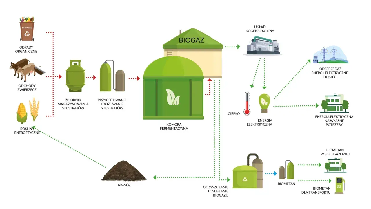 Schemat instalacji biogazowej: odpady organiczne, odchody zwierzęce i rośliny energetyczne przetwarzane są na biogaz, który daje ciepło i energię elektryczną.