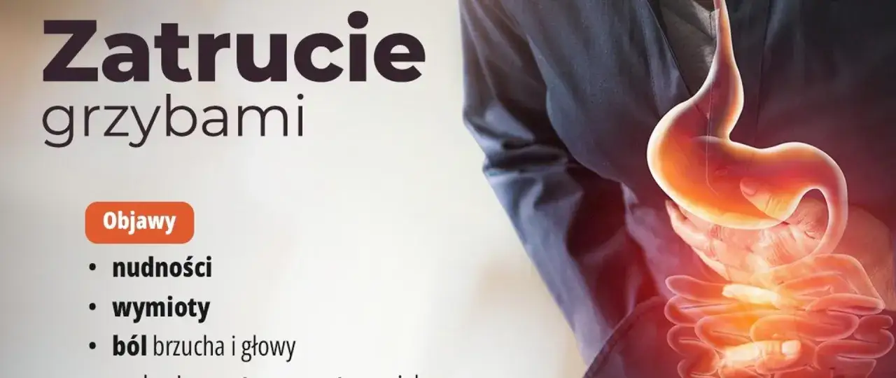 Objawy zatrucia grzybami: nudności, wymioty, ból brzucha i głowy. Grafika przedstawia żołądek i jelita.